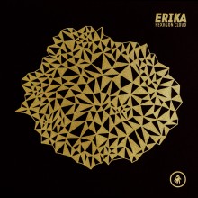 Erika | Interdimensional Transmissions